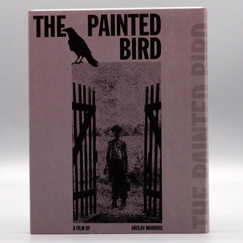 The Painted Bird w/SLIP