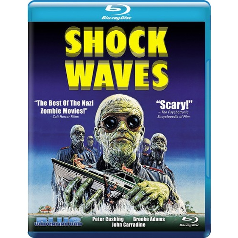 Shock Waves