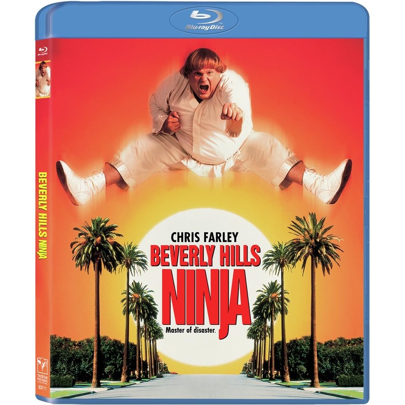 Beverly Hills Ninja