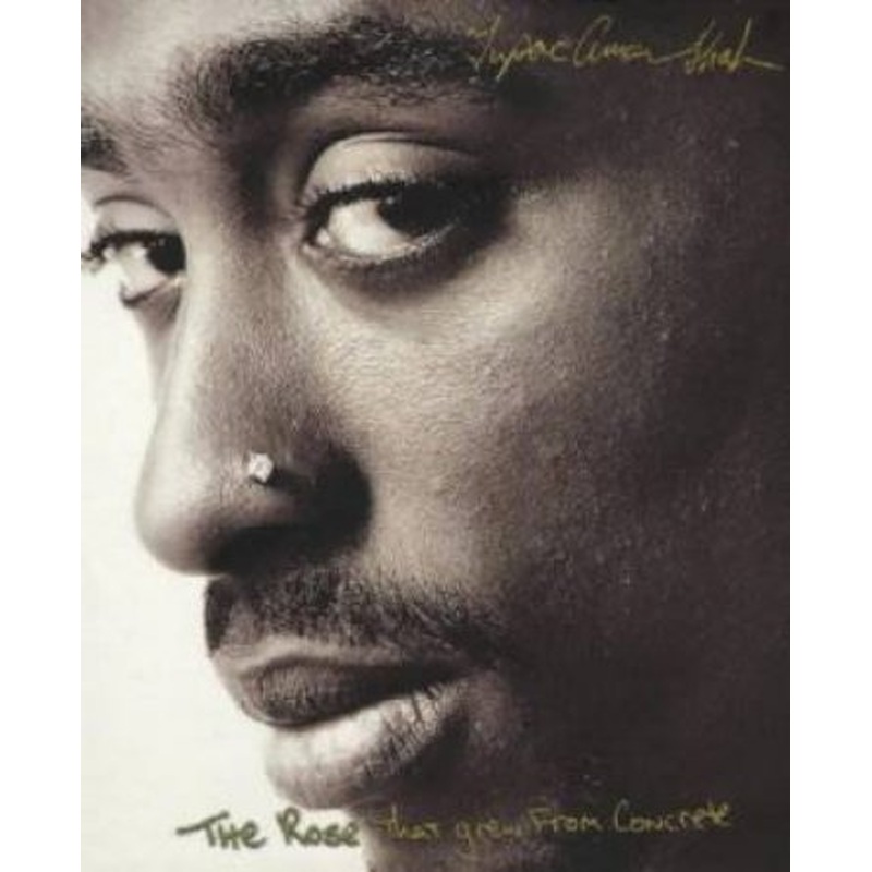 The Rose That Grew From Concrete