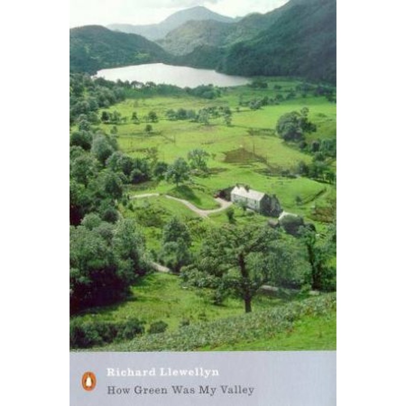 How Green Was My Valley