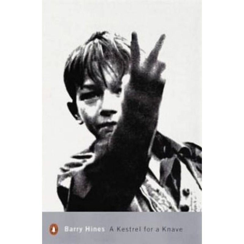 A Kestrel For A Knave