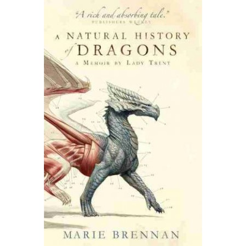 A Natural History Of Dragons