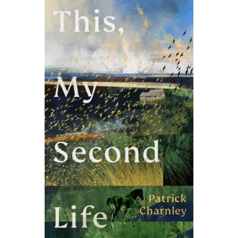 This, My Second Life