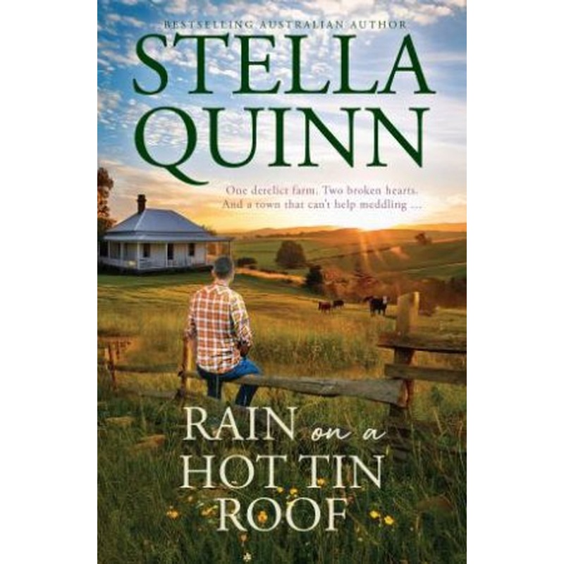 Rain on a Hot Tin Roof: A single dad and a town of matchmakers, 2026's funny new romance, perfect for readers of Karly Lane, from an award-winn