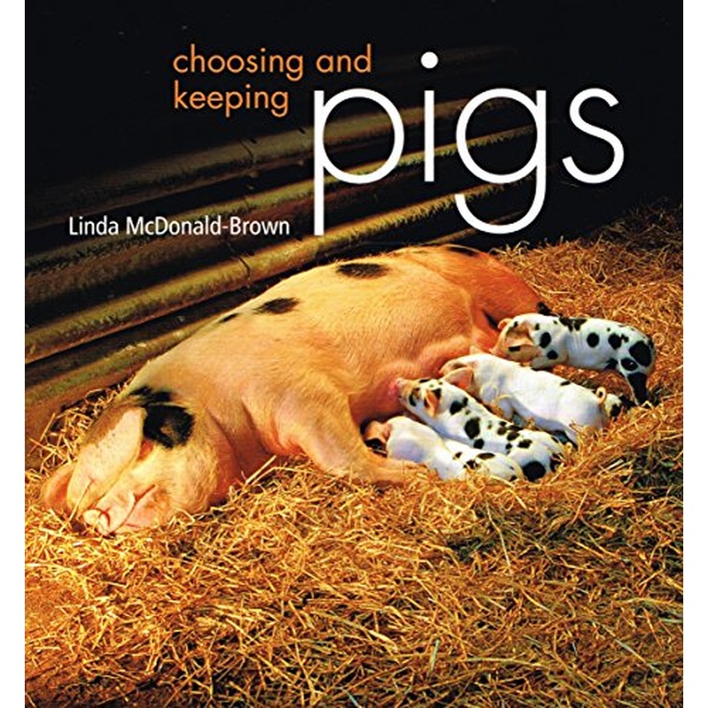 Choosing and Keeping Pigs