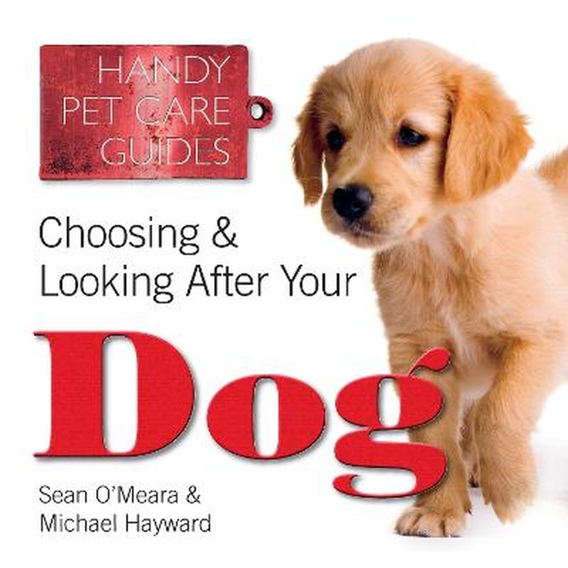 Choosing & Looking After Your Dog