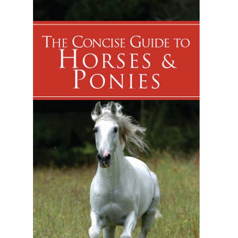 A Concise Guide to Horses