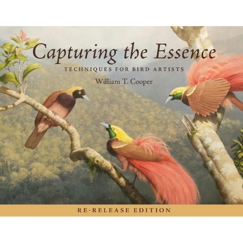 Capturing the Essence: Techniques for Bird Artists