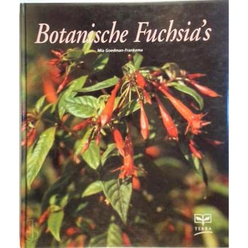 Botanische Fuchsia's