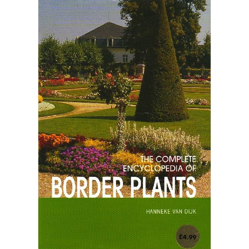 Border Plants