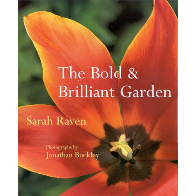 Bold and Brilliant Garden