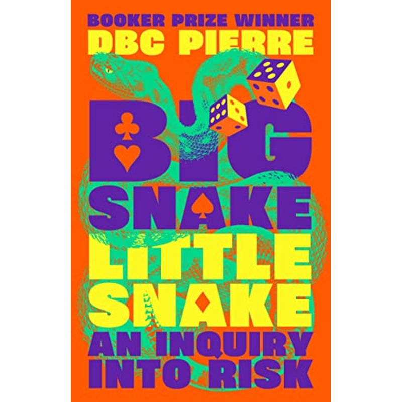 Big Snake Little Snake: An Inquiry into Risk