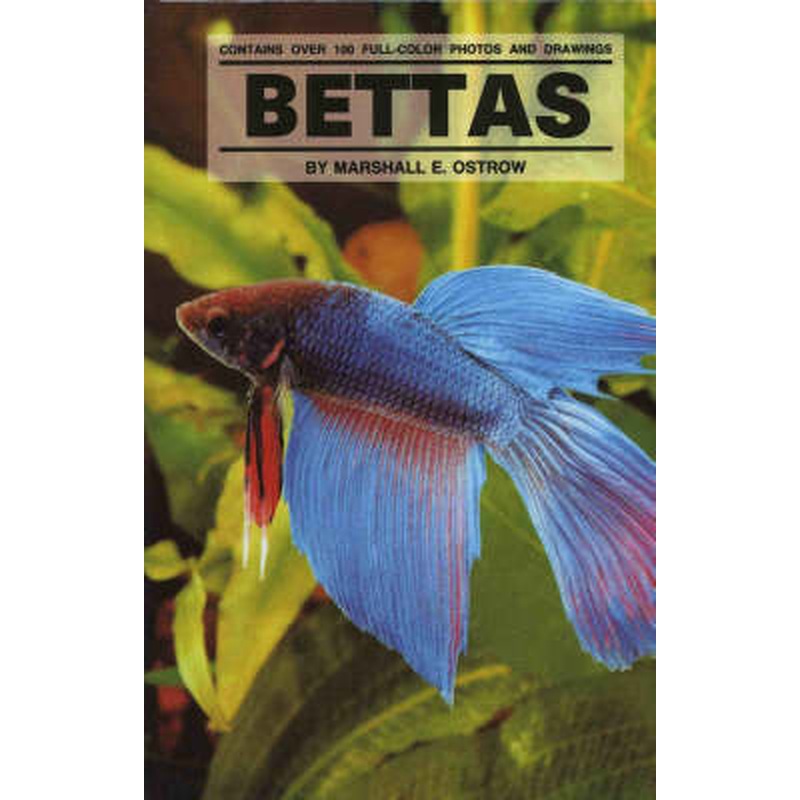 Bettas