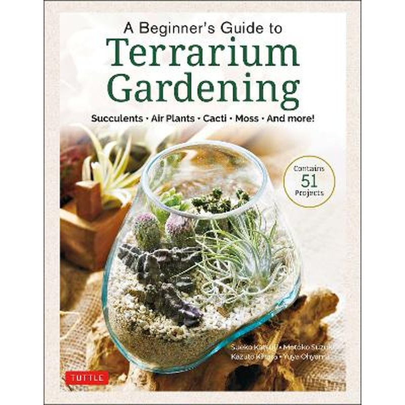 A Beginner's Guide to Terrarium Gardening: Succulents, Air Plants,