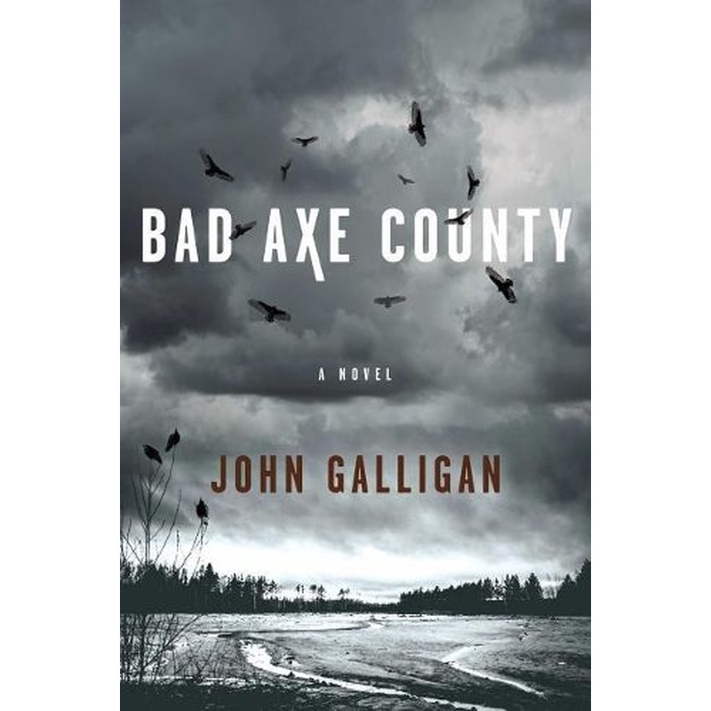Bad Axe County: A Novel