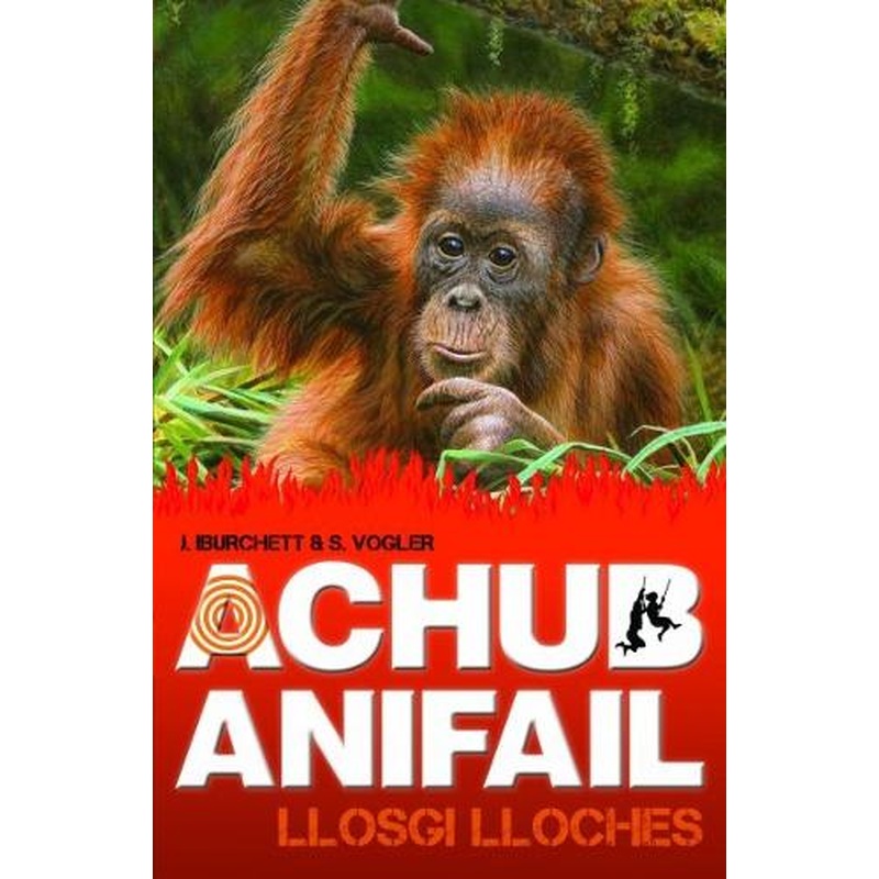 Achub Anifail: Llosgi Lloches