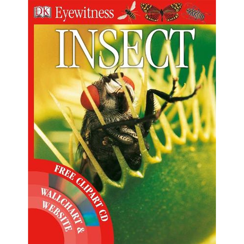 Insect (Eyewitness)
