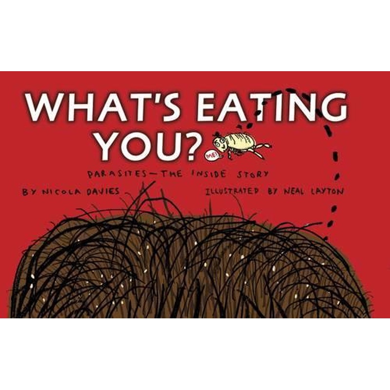 Whats Eating You?