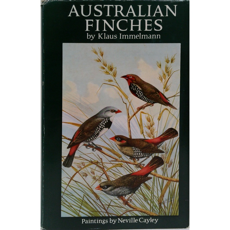 Australian Finches In Bush And Aviary