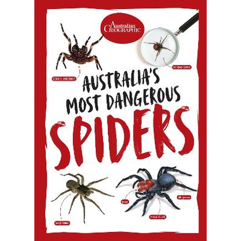 Australia's Most Dangerous Spiders
