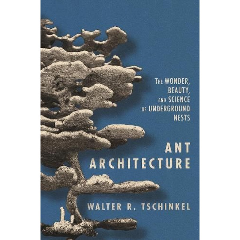 Ant Architecture: The Wonder, Beauty, and Science of Underground Nests