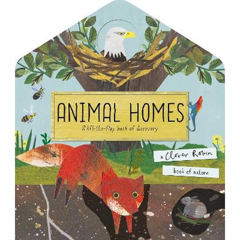 Animal Homes: A lift-the-flap book of discovery