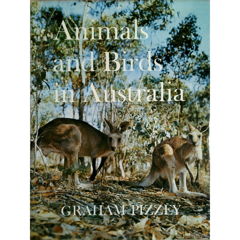 Animals And Birds In Australia