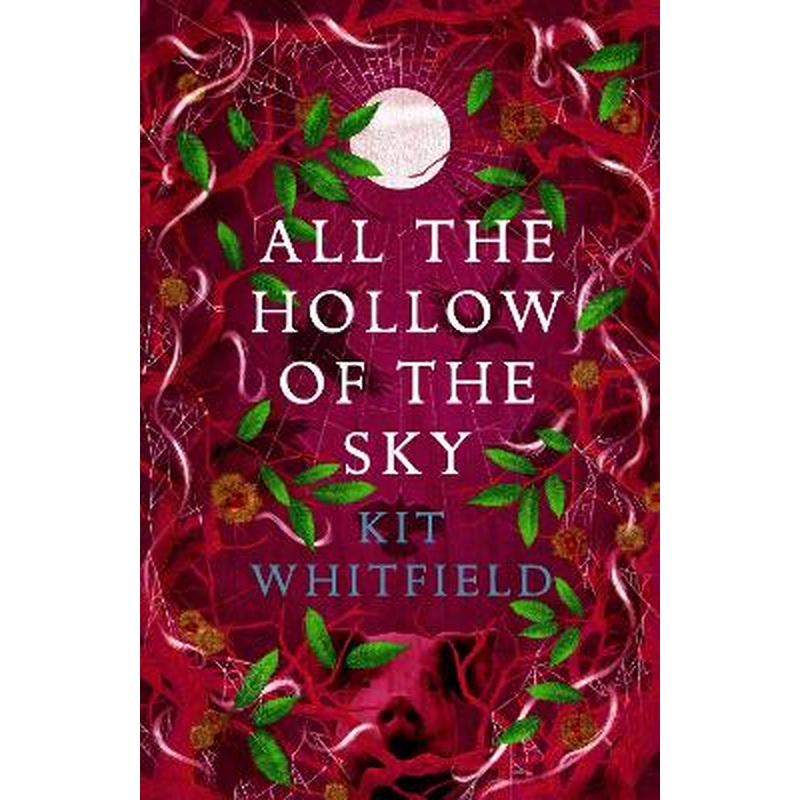 All the Hollow of the Sky: An enthralling novel of fae, folklore and
