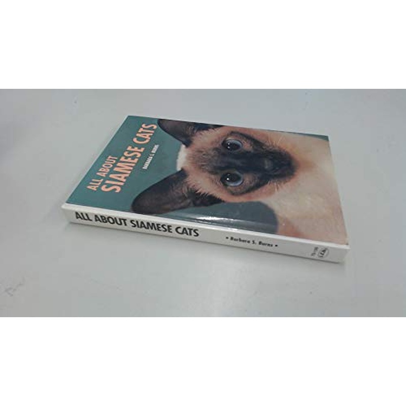 All About Siamese Cats