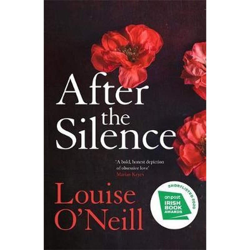 After the Silence: The An Post Irish Crime Novel of the Year