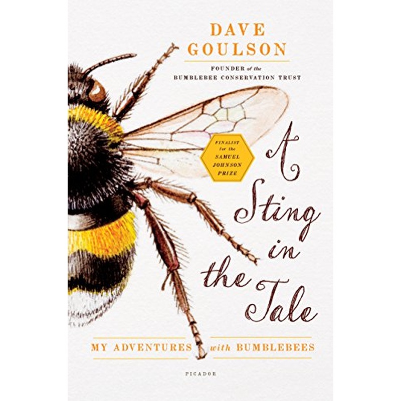 A Sting in the Tale: My Adventures with Bumblebees