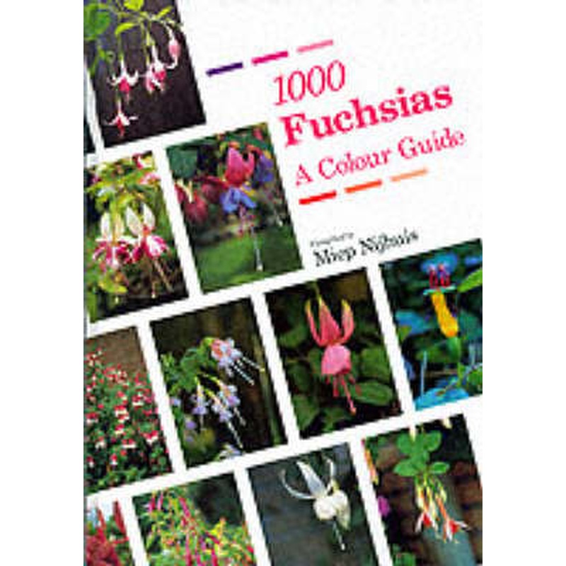 1000 FUCHSIAS