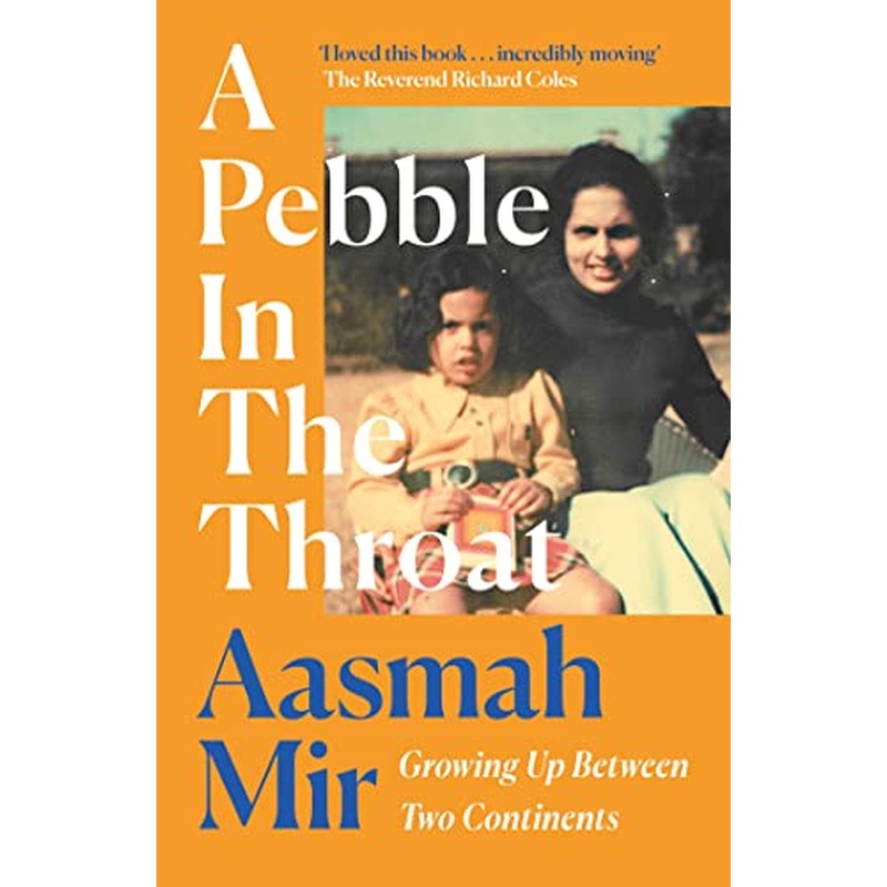A Pebble In The Throat: Growing Up Between Two Continents