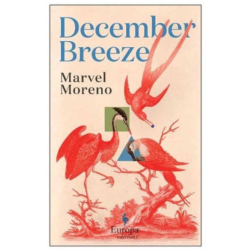 December Breeze: A masterful novel on womanhood in Colombia