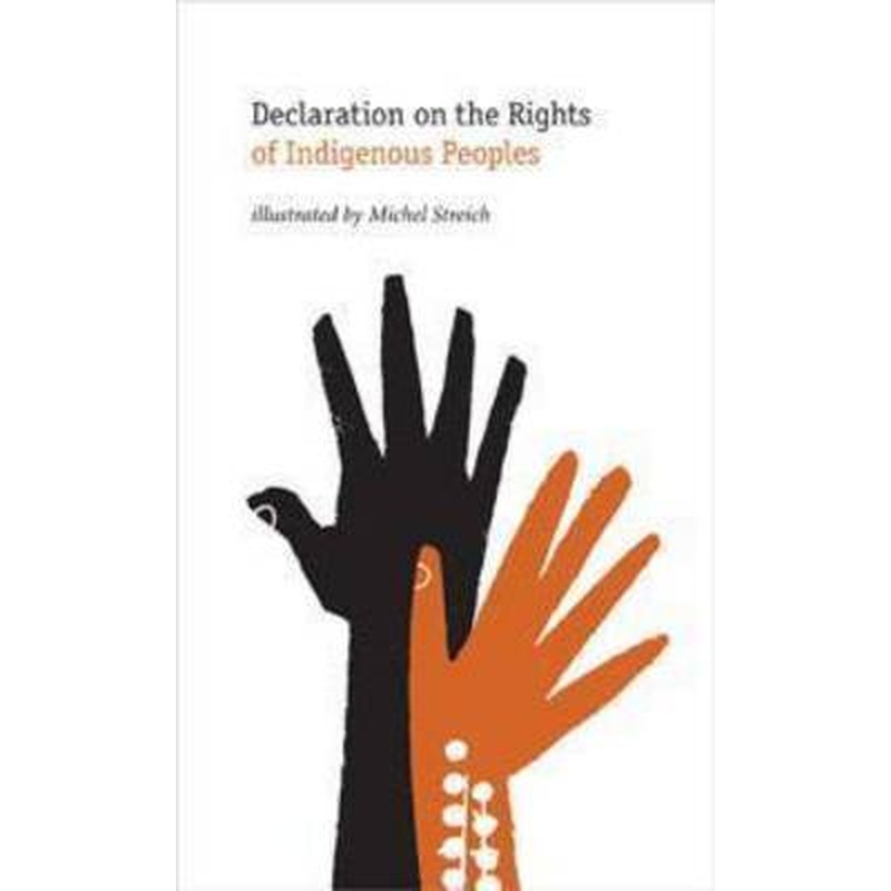 Declaration on the Rights of Indigenous Peoples