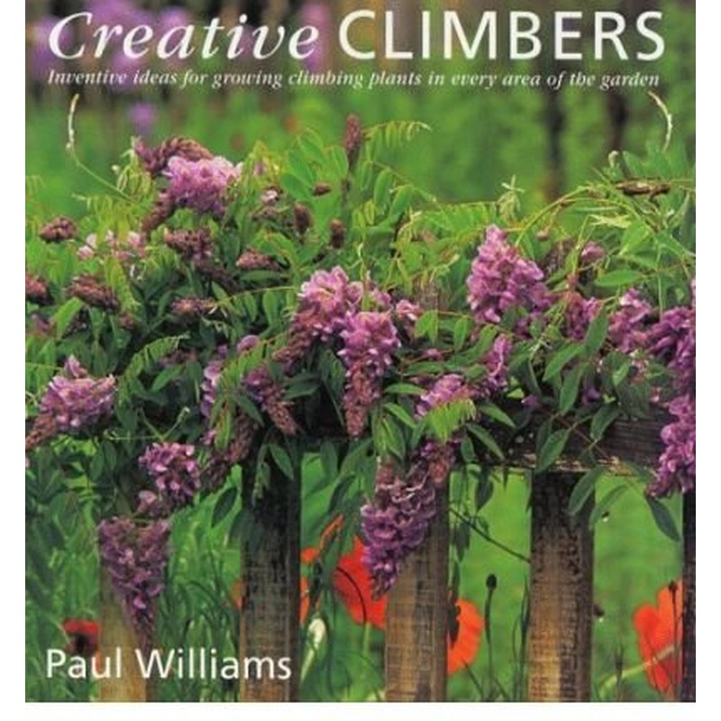 Creative Climbers: Inventive Ideas for Growing Plants in Every Area of