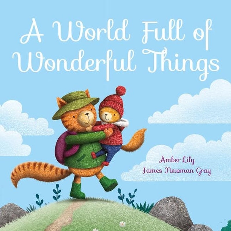 A World Full of Wonderful Things (Picture Storybooks)