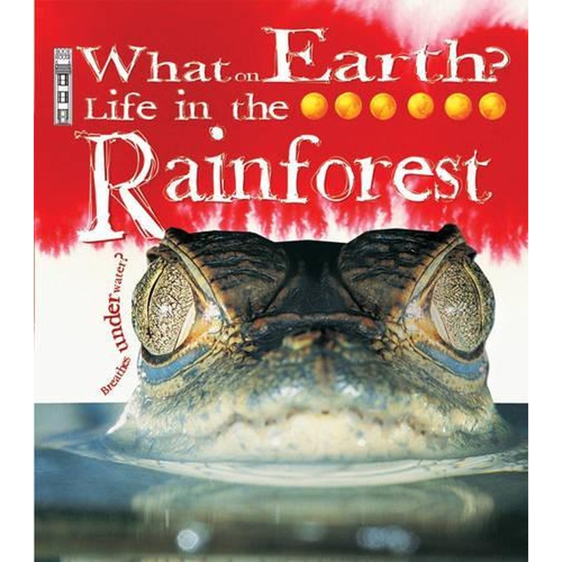 Life in the Rainforest (What on Earth)