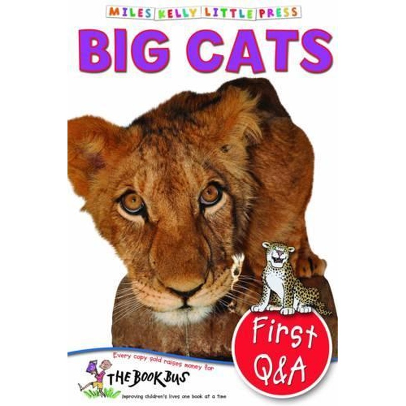 Big Cats (Little Press)
