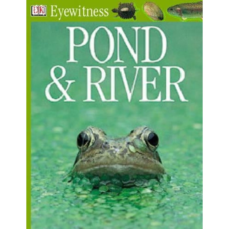 Pond & River (Eyewitness)
