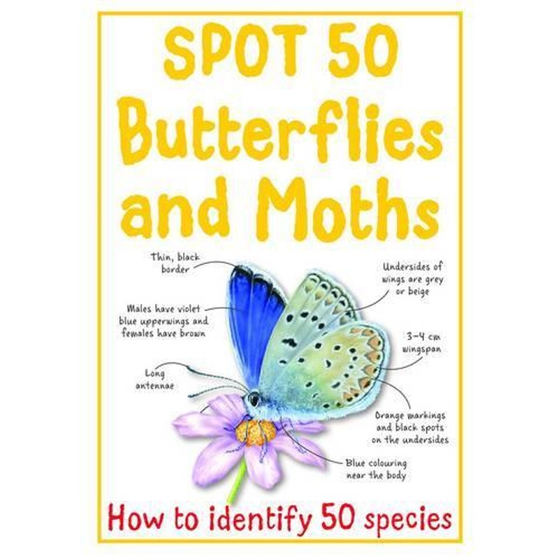 Spot 50 Butterflies and Moths (Spot 50s)