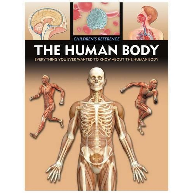 Human Body (Childrens Reference)