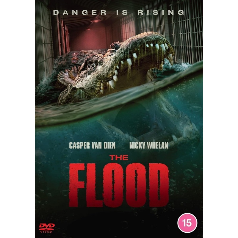The Flood (DVD, Region B)