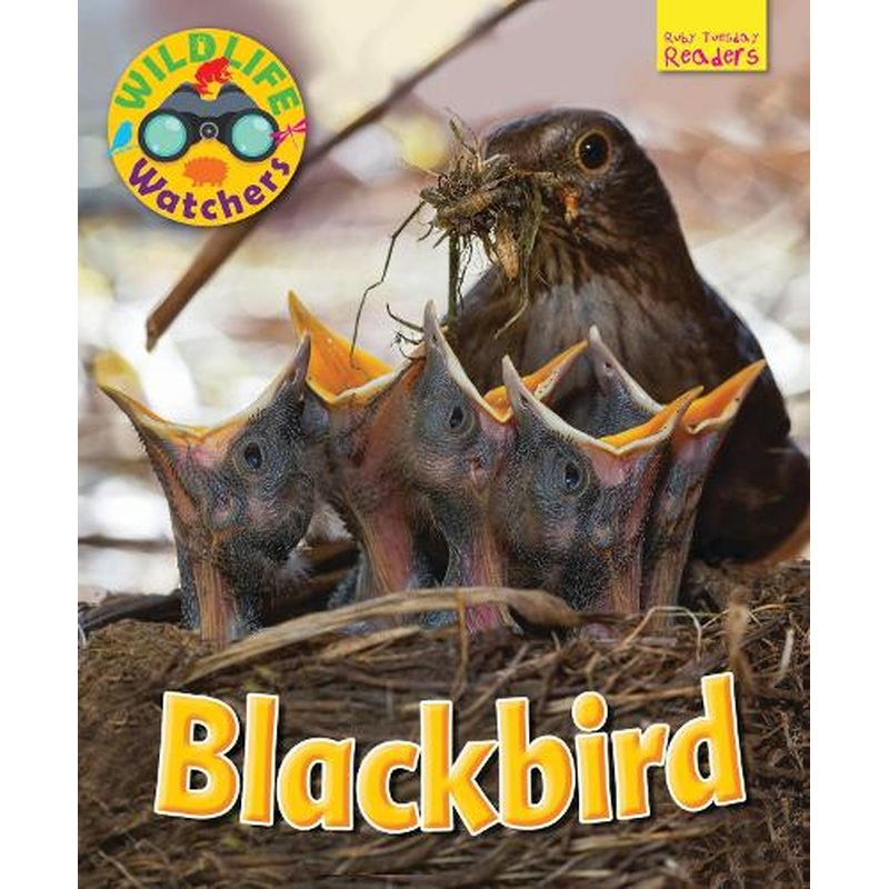 Wildlife Watchers: Blackbird 2017 (Ruby Tuesday Readers)