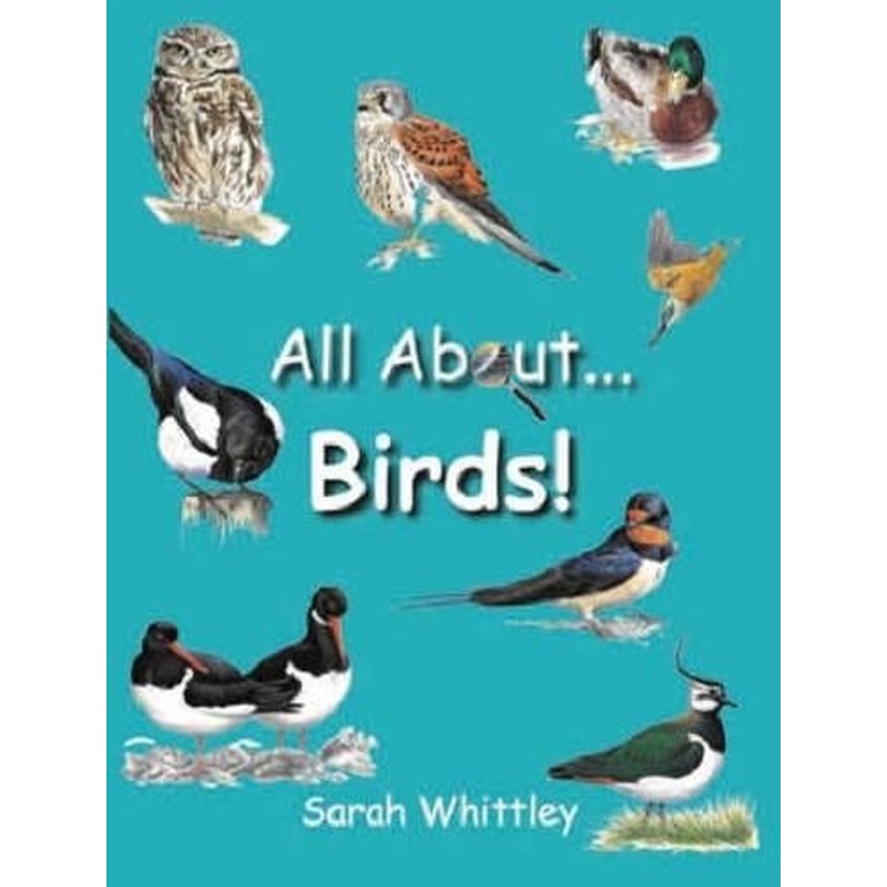 All About Birds