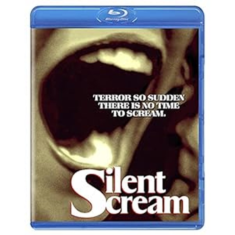 Silent Scream (Special Edition) USED